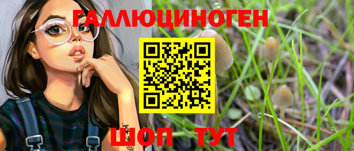 наркошоп  Вход с VPN  Курчалой  Псилоцибиновые грибы Psilocybe 